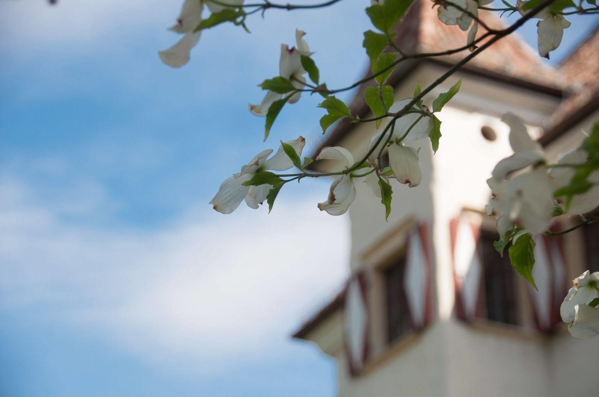 Hotel Castel Rundegg (Adults Only) Merano Exterior foto